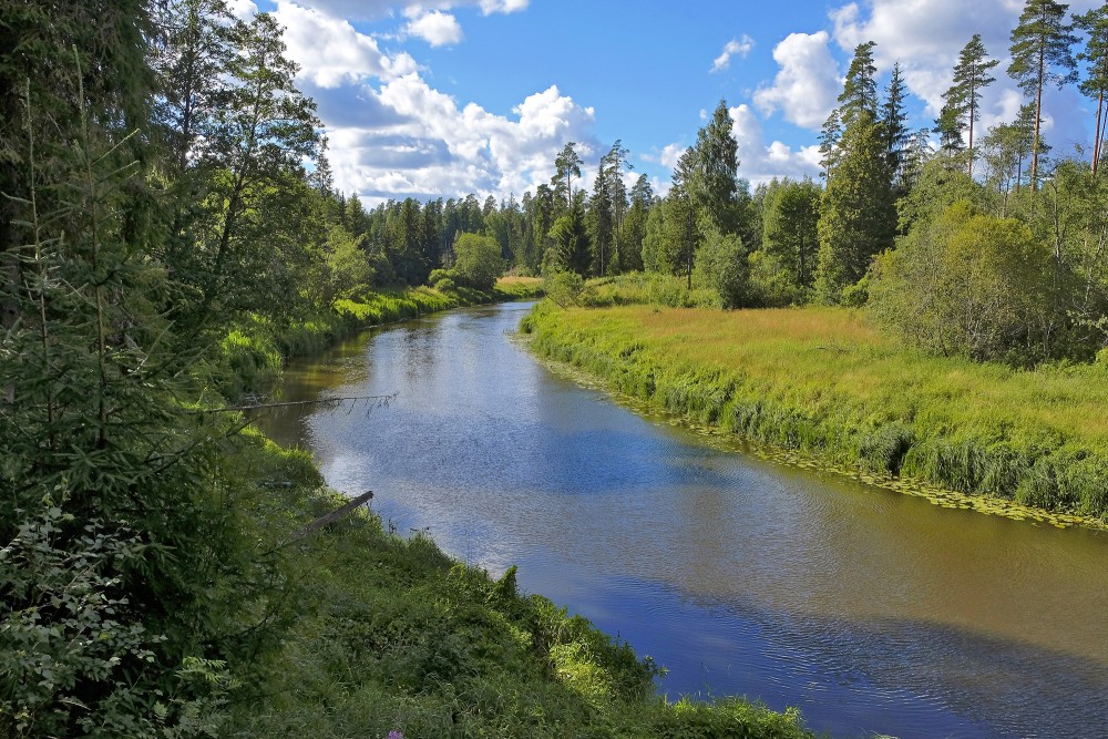Salaca pie Dauģēnu klintīm Salaca pie Dauģēnu klintīm