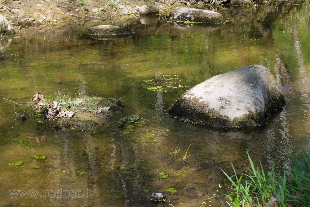 Akmeņi Vilces upē Vilces dabas parkā