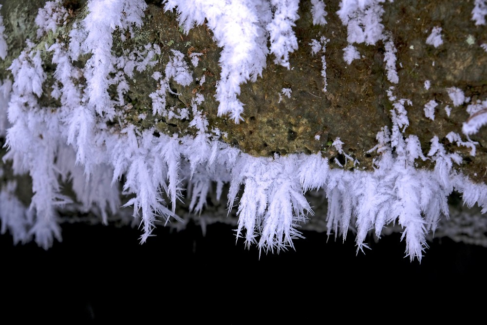 Frost on the Overhang of Oļupīte Waterfall