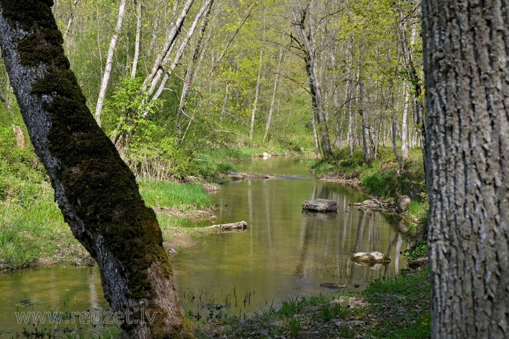 River Vilce in Vilce Nature Park