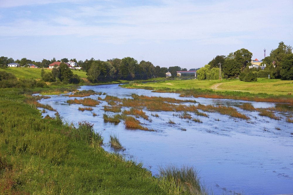 Mūsa pie Bauskas Mūsa pie Bauskas