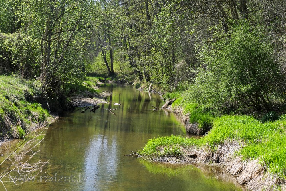 River Vilce in Vilce Ravine at Zaķi Meadow