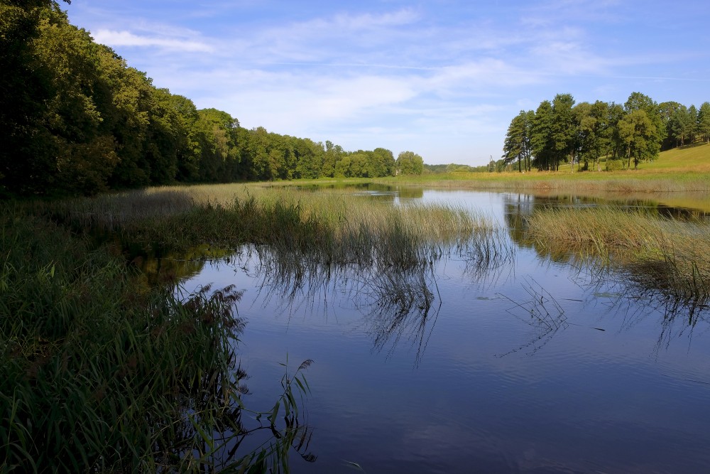 Mūsa pie Pamūšas muižas