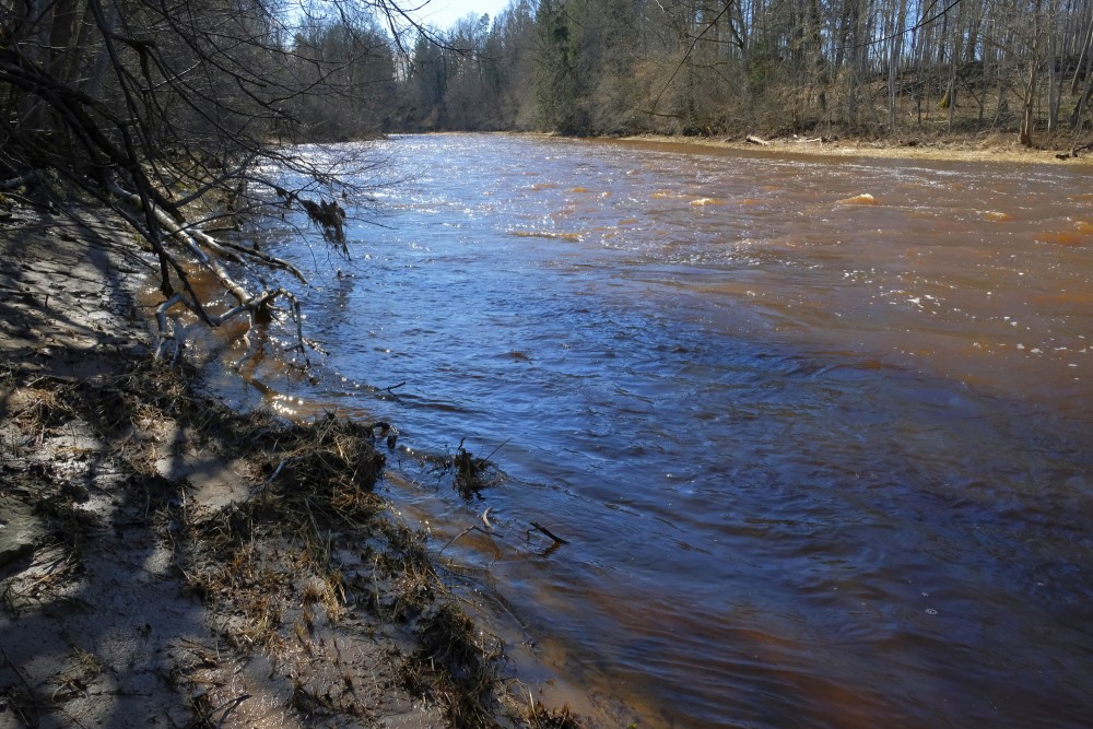 Ogre River near Glāzškūnis in Early Spring