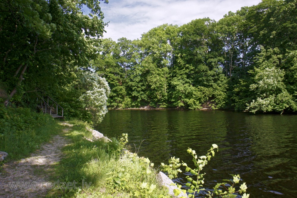 Rumbiņas ieteka Daugavā