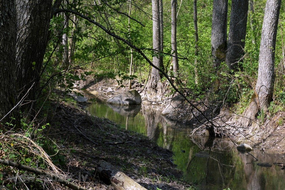 Rukuze in Vilces Nature Park