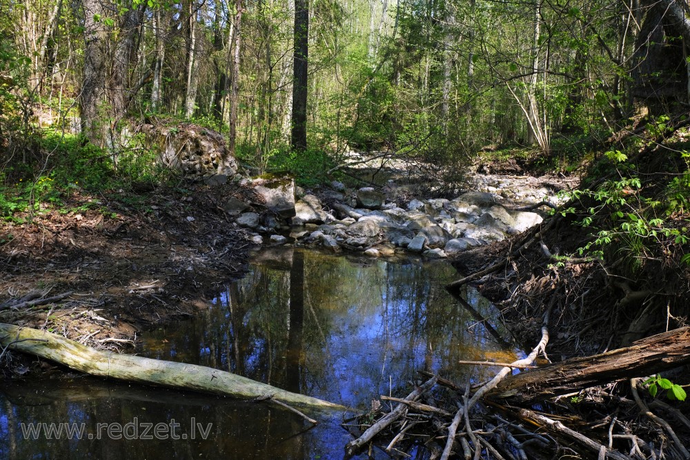 Akmeņainā Rukūzes gultne pie Rukūzes dabas takas Vilces dabas parkā