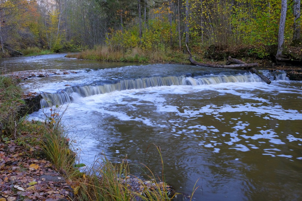 Riežupes rumba rudenī Riežupes rumba rudenī