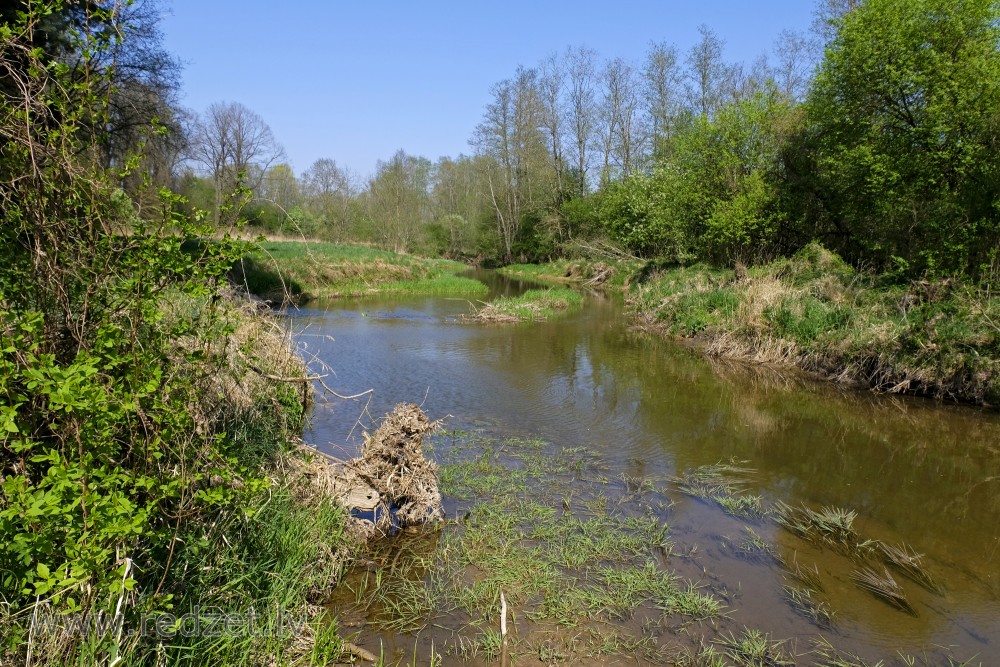 River Vilce in spring at Vilce Nature Park
