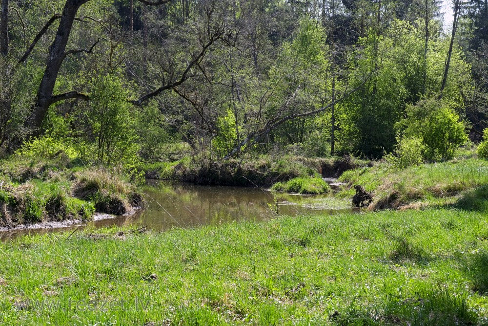 River Igate Estuary in River Vilce