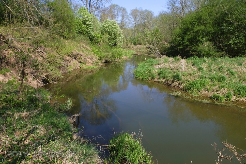 Coasts of Vilce in Spring