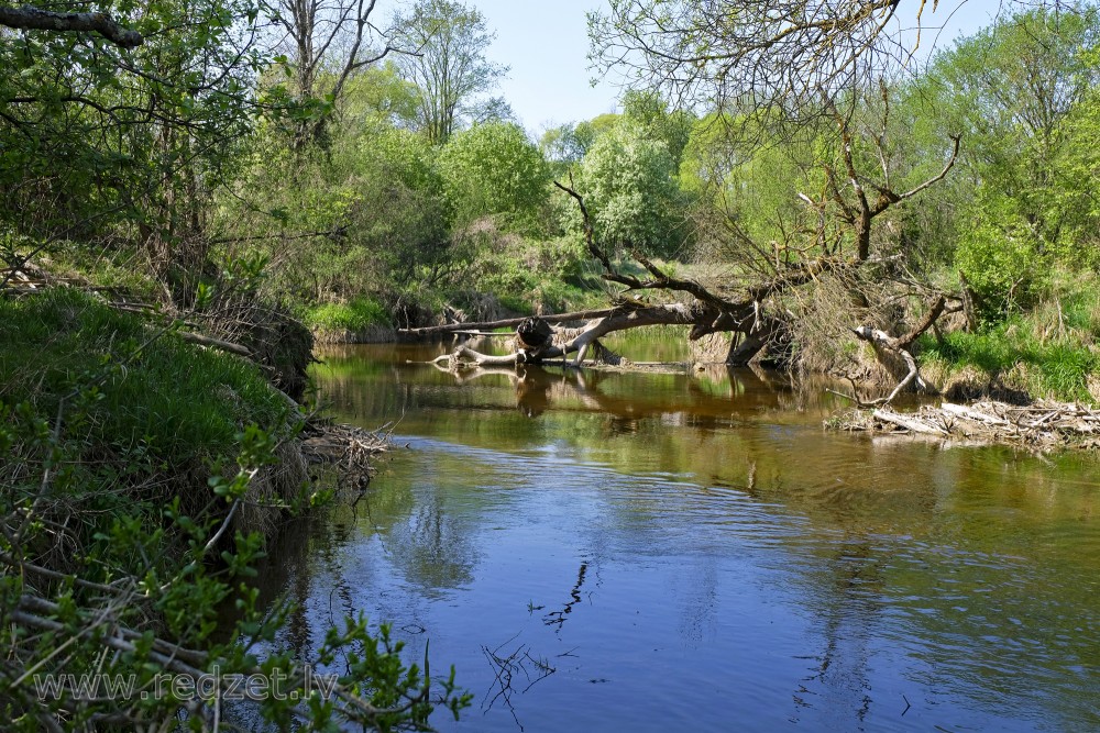 Svēte Down by Vilce estuary