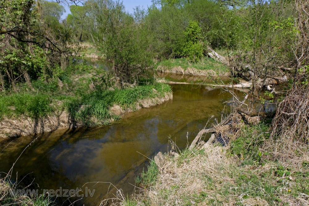 River Vilce  estuary in River Svēte