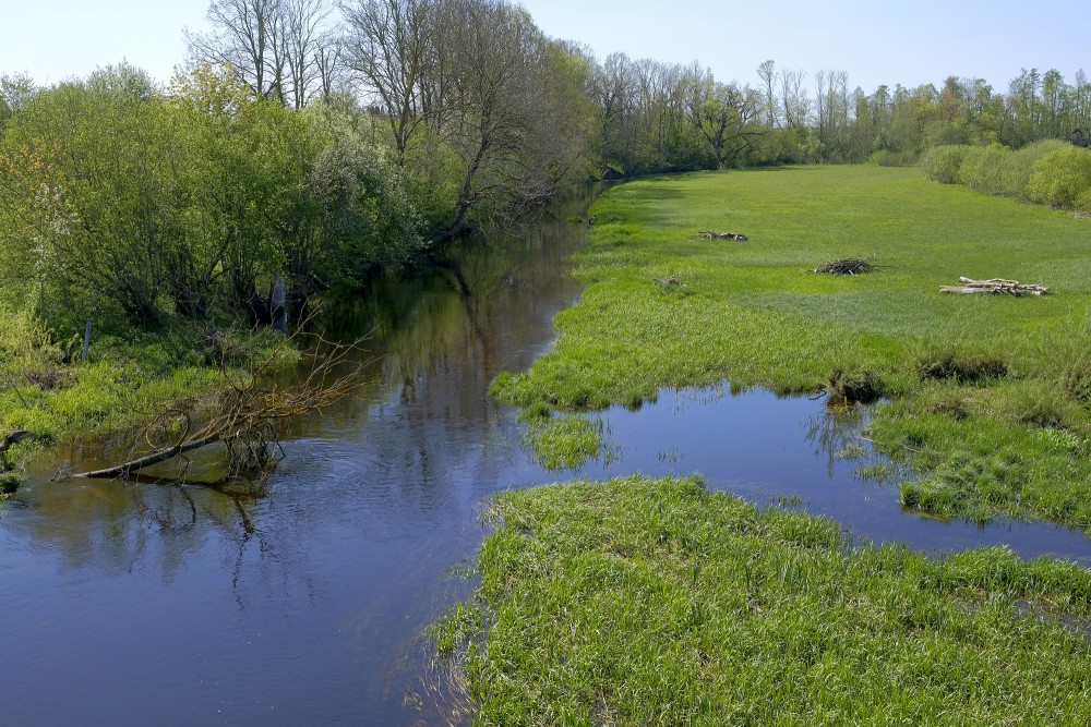 Svēte River near Dzeguzēni