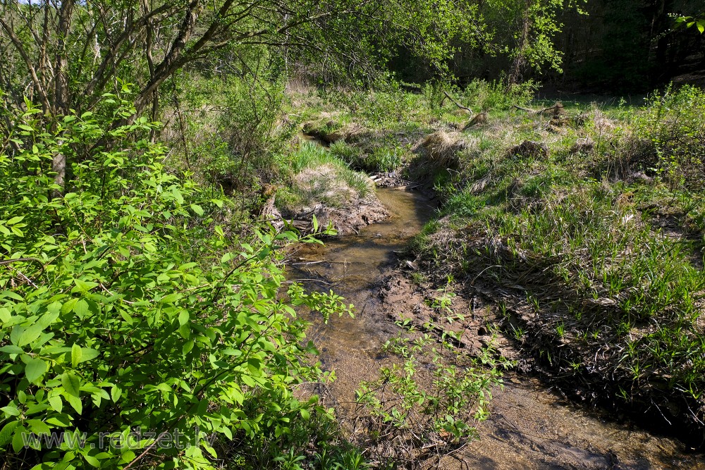 River Igate before Estuary in River Vilce