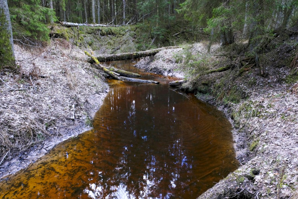 Pitragupe River Landscape