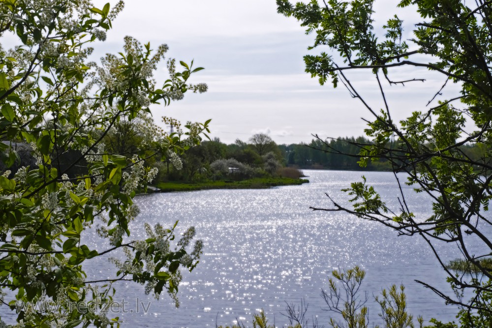 Daugava pie Lucavsalas ievziedu laikā