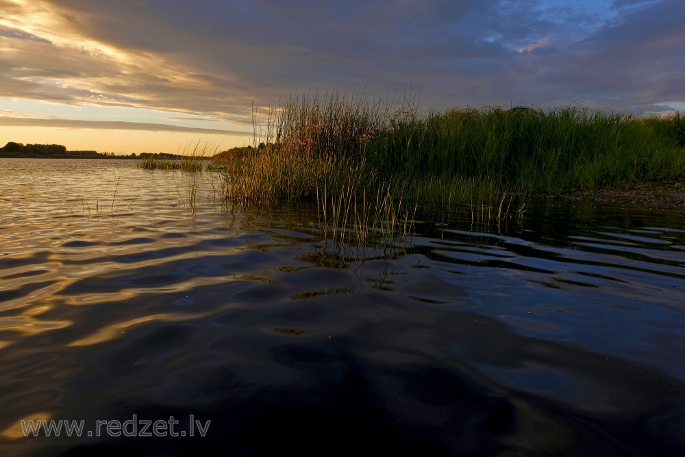 Gleznains Daugavas krasts vakara gaismā