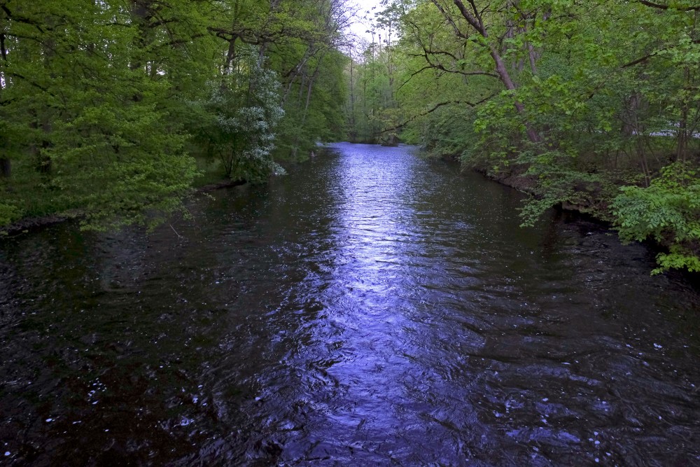 Iecavas upe skatā no Iecavas upes tiltiņa