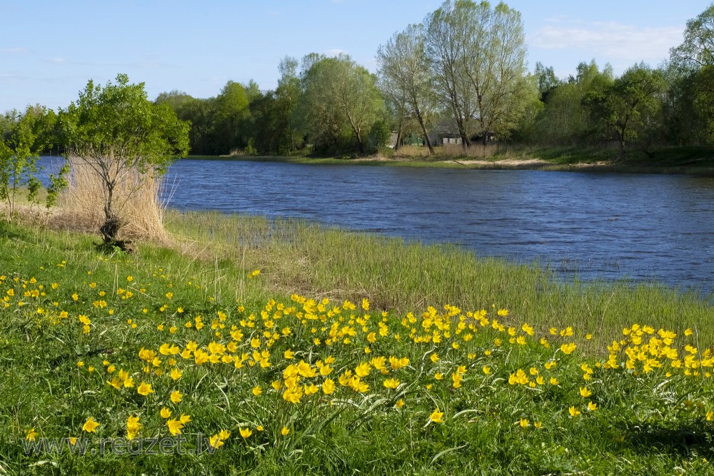 View over Driksa from Jelgava Palace Island