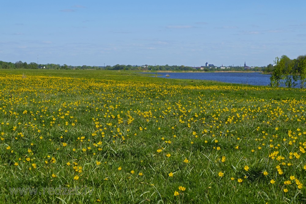 View from Northern End of Jelgava Palace Island to Jelgava