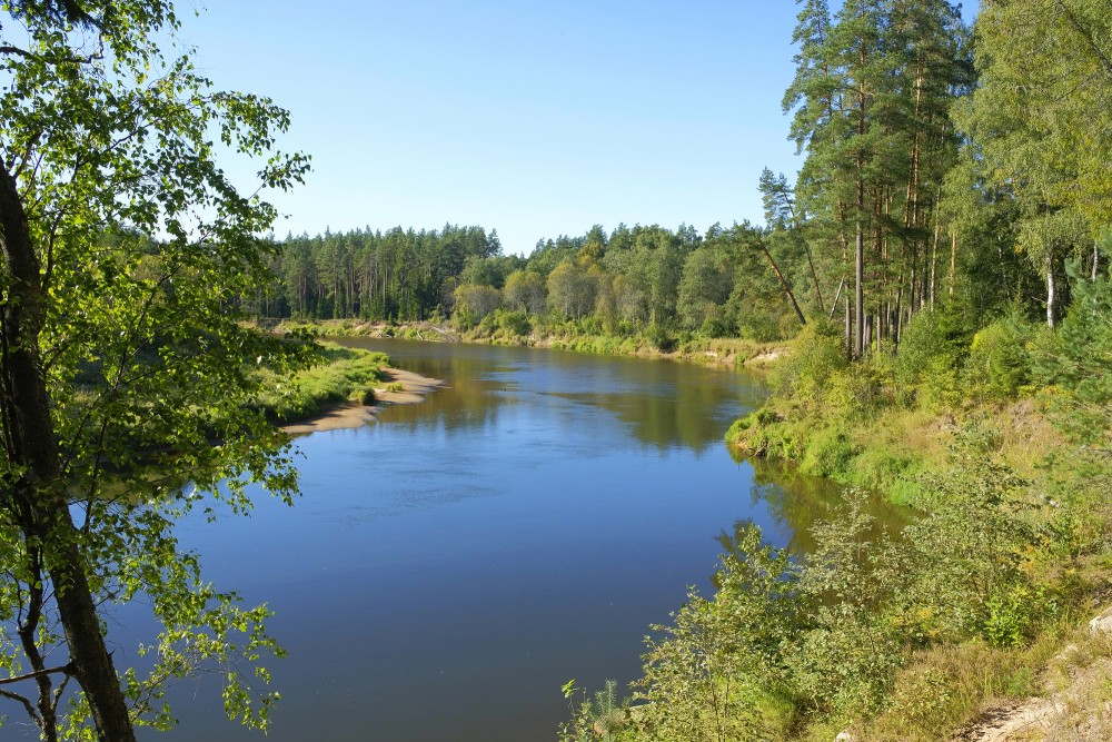 Gauja pie Liepas ieža Gauja pie Liepas ieža