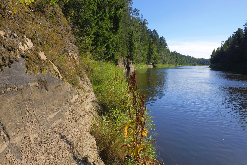 Liepas iezis (Baltā klints, Ozolu iezis)