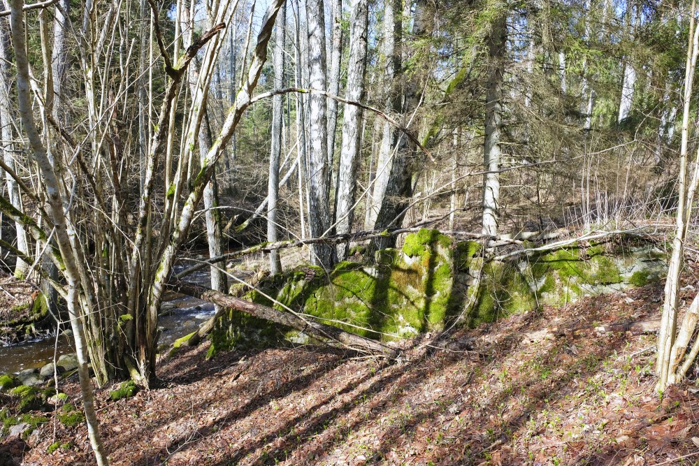 Pitragupe river mill dam ruins