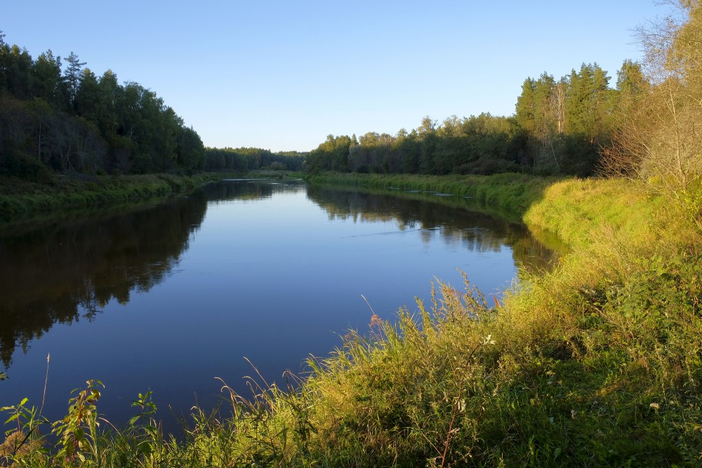 Gauja pie Kazu ieža Gauja pie Kazu ieža