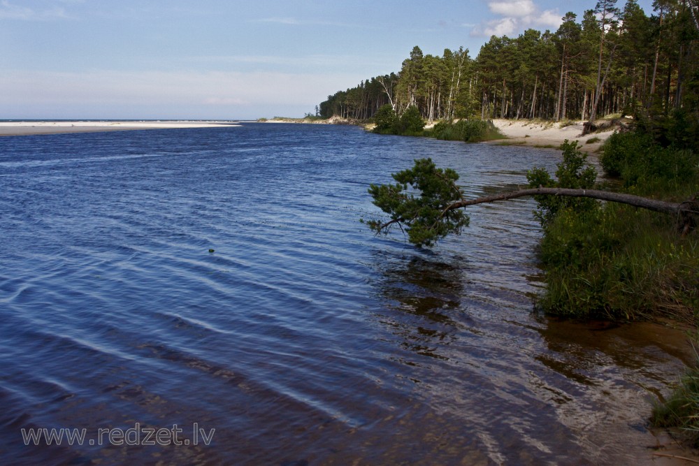 Irbe River Estuary