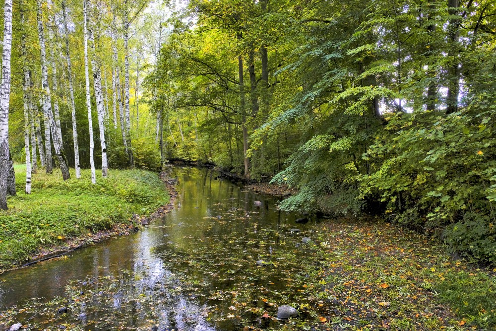 Auces upe tek cauri Bēnei Auces upe tek cauri Bēnei