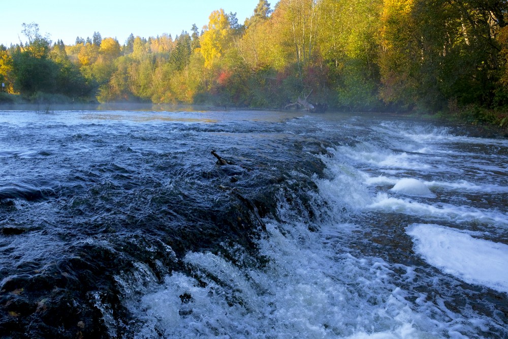 Waterfall on Abava River ("Abavas rumba")