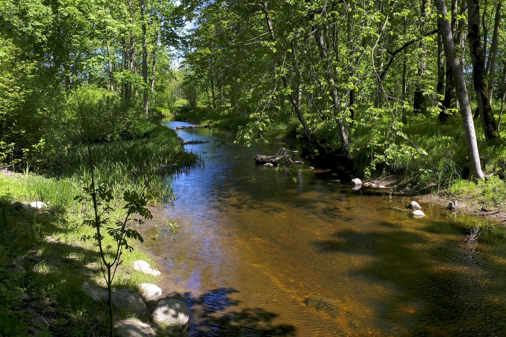 Ezere River