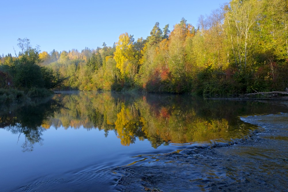 Abava River, Autumn, Reflection in Water