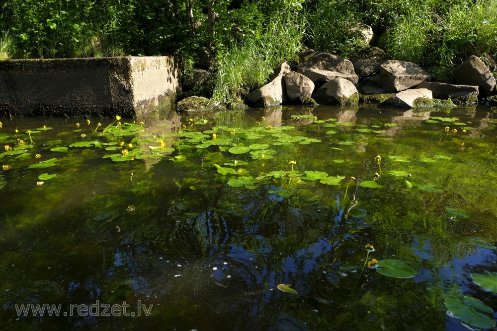 Stones On The River Shore