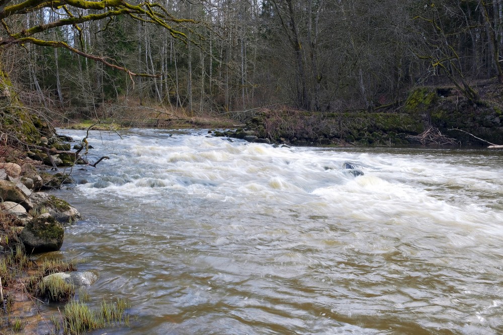 The Vārtāja River near the Ruins of the Aizkrūte Mill