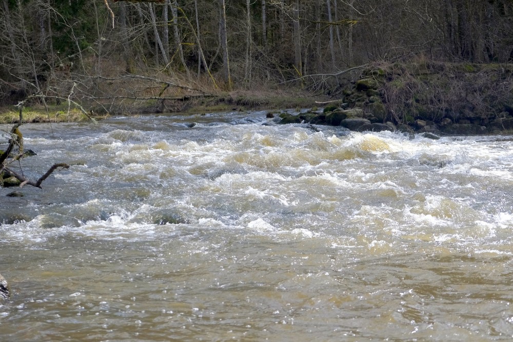 The Vārtāja River near the Ruins of the Aizkrūte Mill
