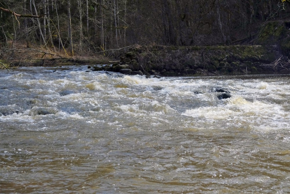 The Vārtāja River near the Ruins of the Aizkrūte Mill