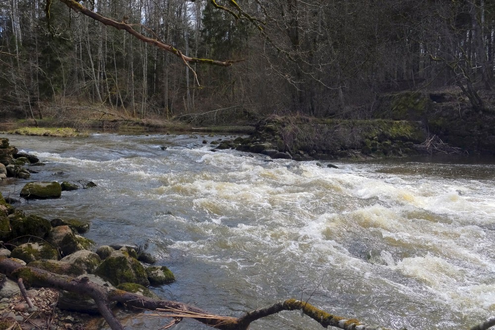 The Vārtāja River near the Ruins of the Aizkrūte Mill