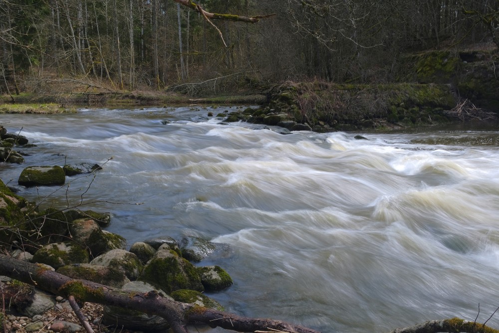 The Vārtāja River near the Ruins of the Aizkrūte Mill
