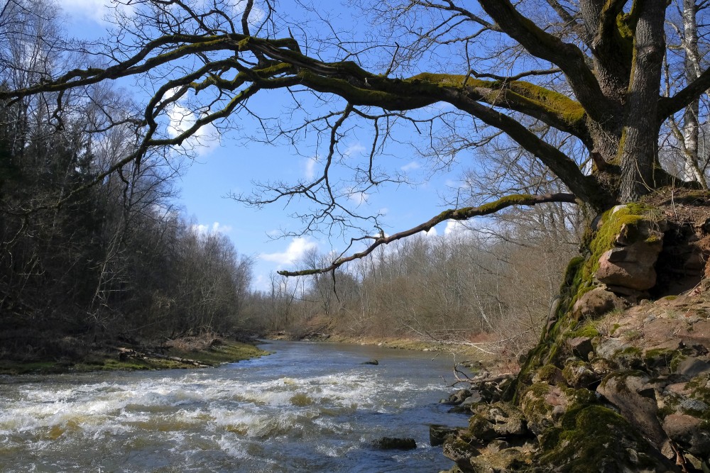 The Vārtāja River near the Ruins of the Aizkrūte Mill