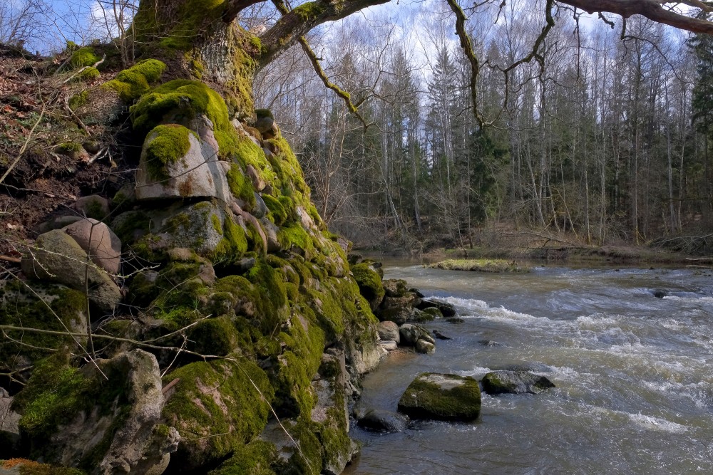 The Vārtāja River near the Ruins of the Aizkrūte Mill