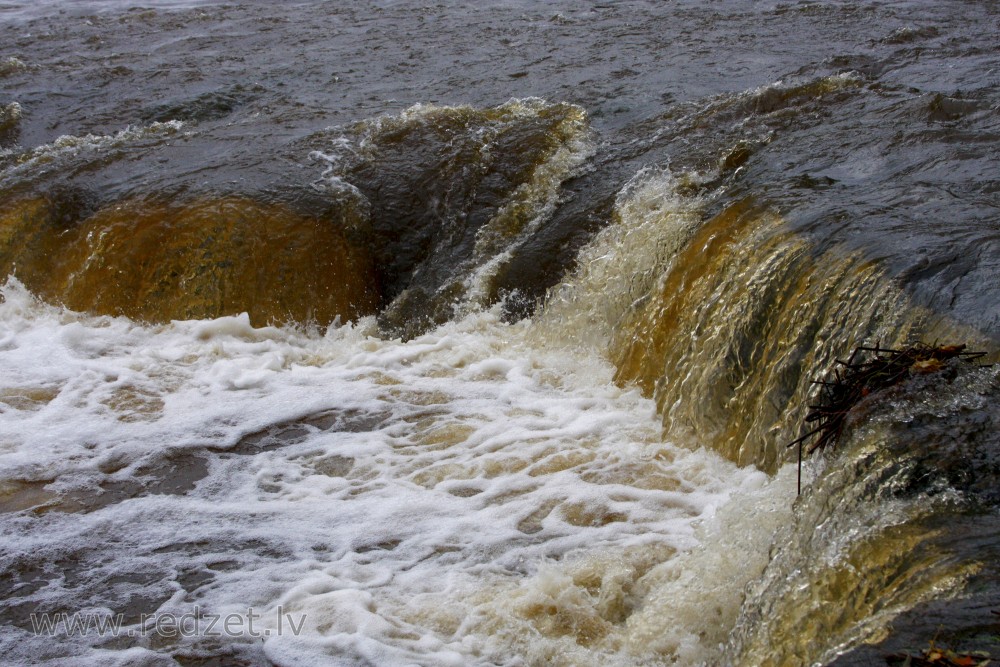 Venta Rapid in autumn