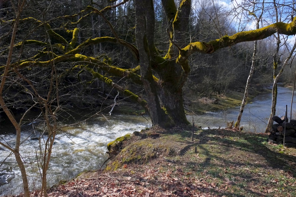 The Vārtāja River near the Ruins of the Aizkrūte Mill
