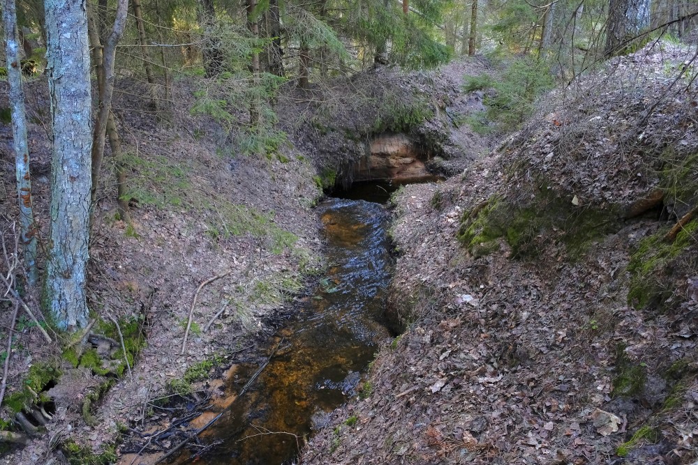At the Mīzalvalks Waterfall