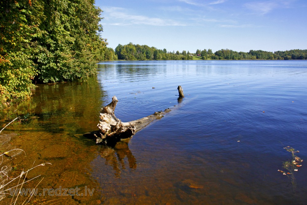 Daugava pie Kokneses