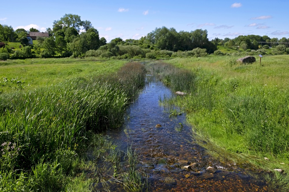 Stream That Connects Mūsa and Mēmele River
