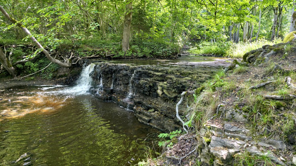 Ivande Waterfall Surrounded by Lush Green Forest