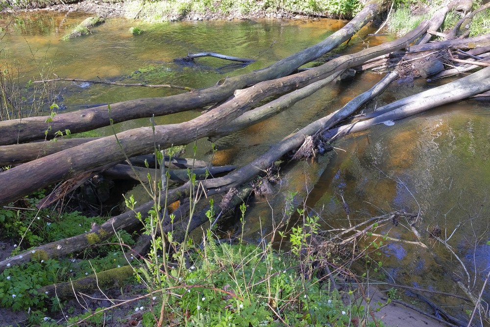 Loja River