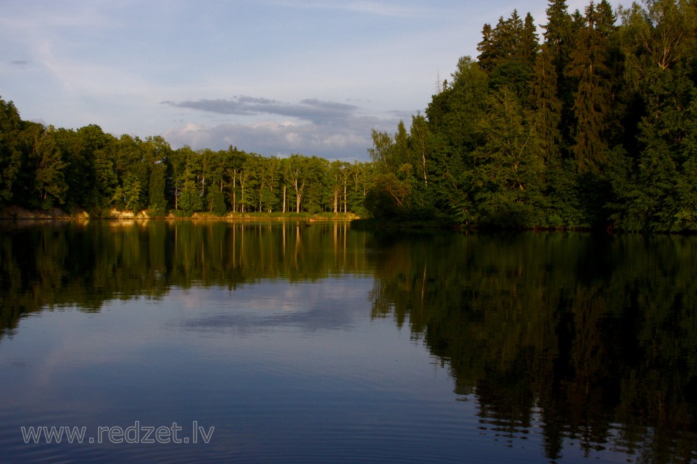 Koku atspulgs Pērses ūdeņos